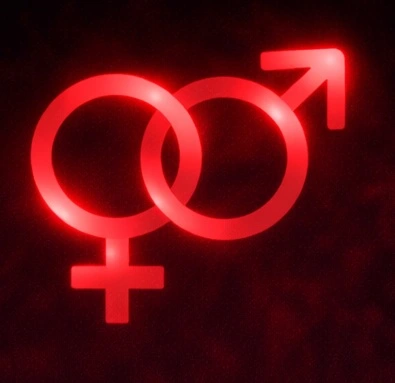 Opposite-sex focused matching logic