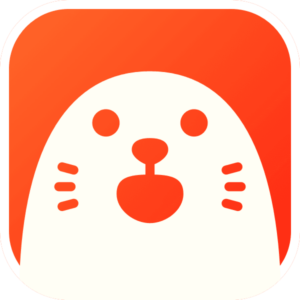 Holla Random Video Chats, Safety Tips & a Naughtier Alternative