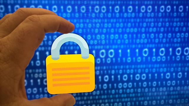 privacy on video chat