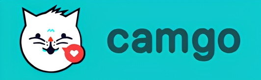 Camgo Review: Random Video Chat Platform & Best Alternative