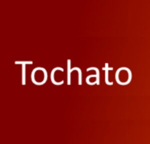 Tochato Review: Is It Worth Your Time? | JerkRoulette