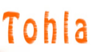 Tohla Review & Guide: How This Random Video Chat with Strangers Works (Plus a Great Alternative!)