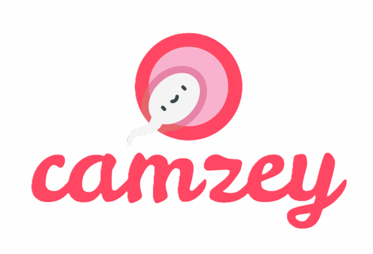 Camzey logo