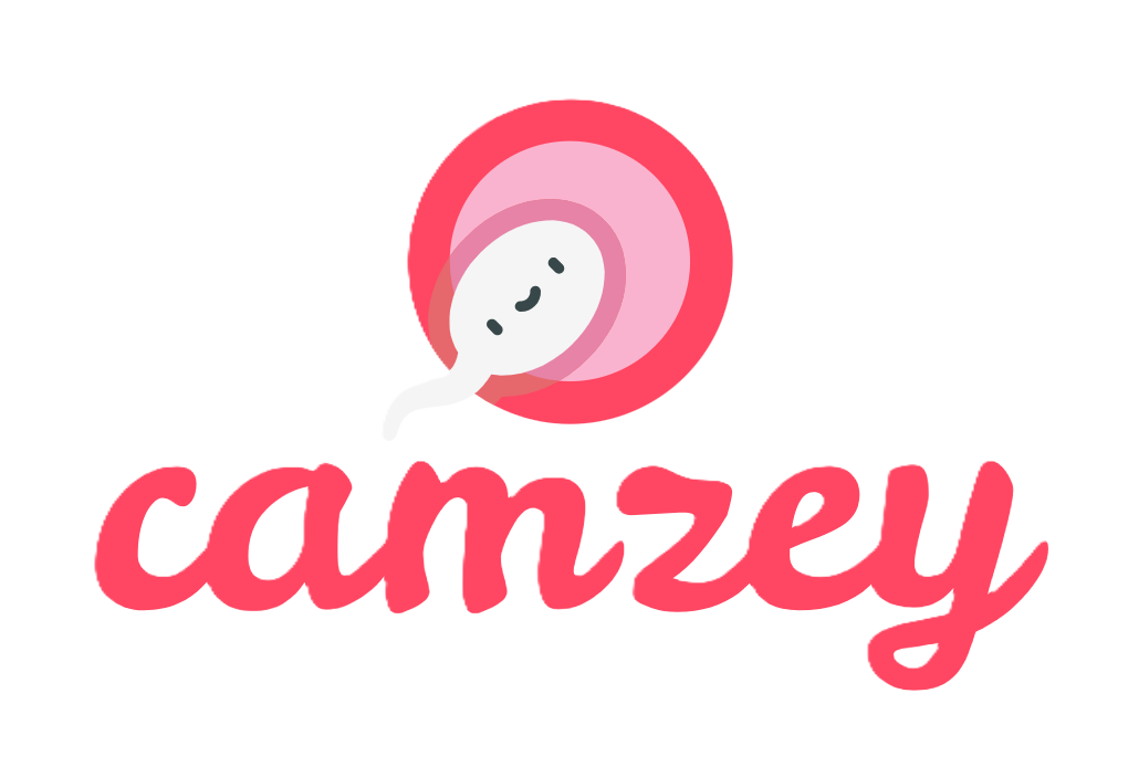 Camzey logo