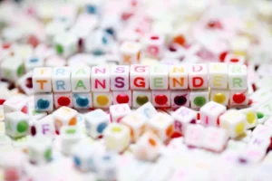 Trans Video Chat With Real People: Exploring Desire in Real Time via 1-on-1 Video Calls